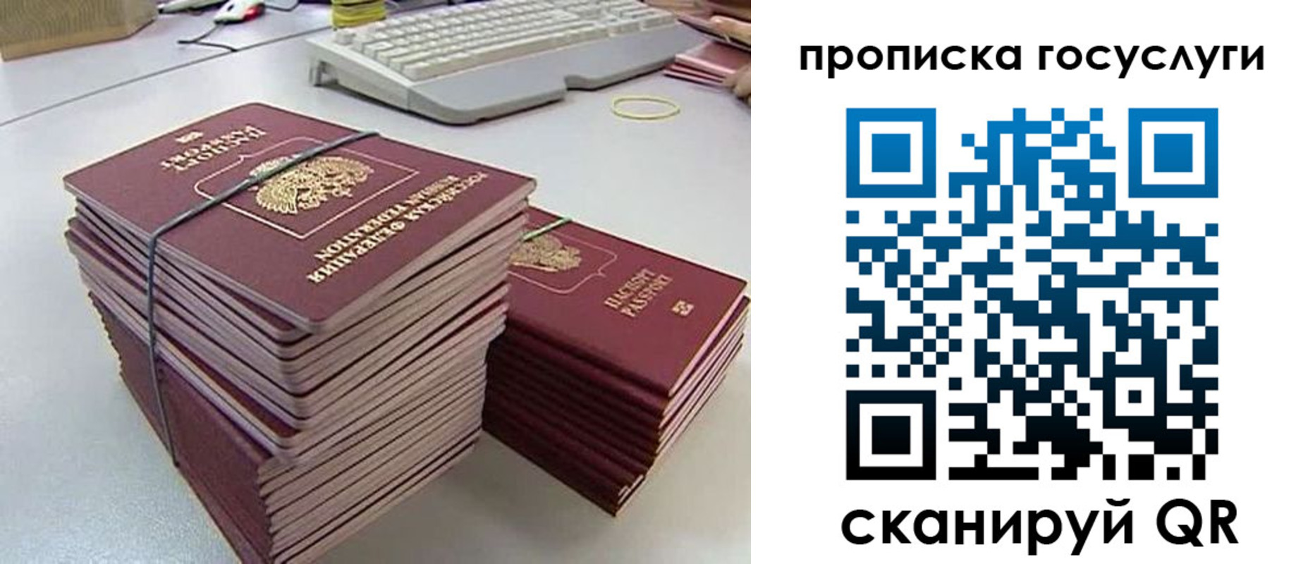 временная регистрация для школы в Нововоронеже